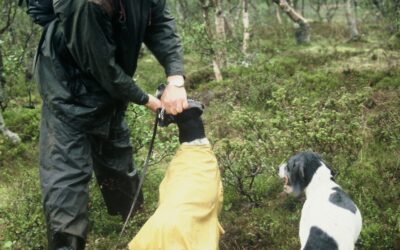 Renägarna kräver monopol för halva Sveriges yta